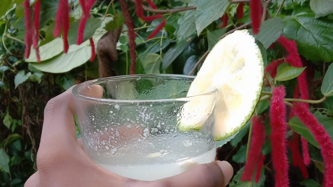 #shorts 👉💕 A good fruit drink.  Jambola and katu anoda drinks 😍🤤 #youtubeshorts #short