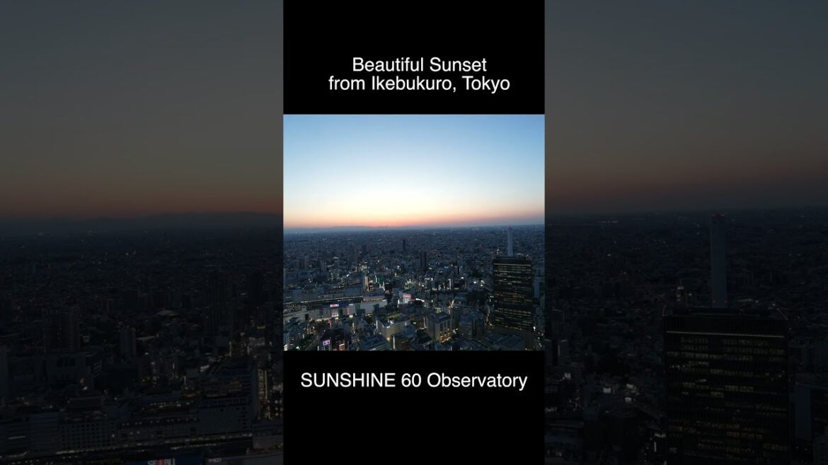 Tokyo Sunset from Ikebukuro Sunshine 60 Observatory #shorts