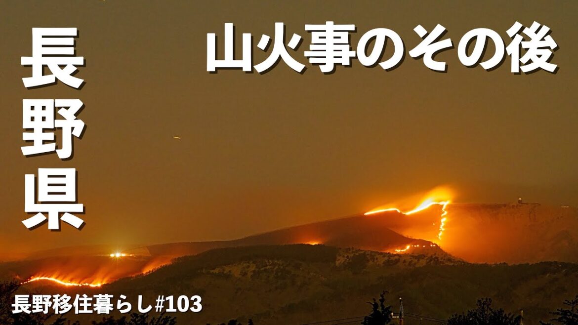 【長野移住】山火事になった車山のその後を見に行ってみた!!|霧ヶ峰|山火事|信州そば|ドライブ|田舎暮らし|長野県|4K 【長野移住】山火事になった車山のその後を見に行ってみた!!|霧ヶ峰|山火事|信州そば|ドライブ|田舎暮らし|長野県|4K