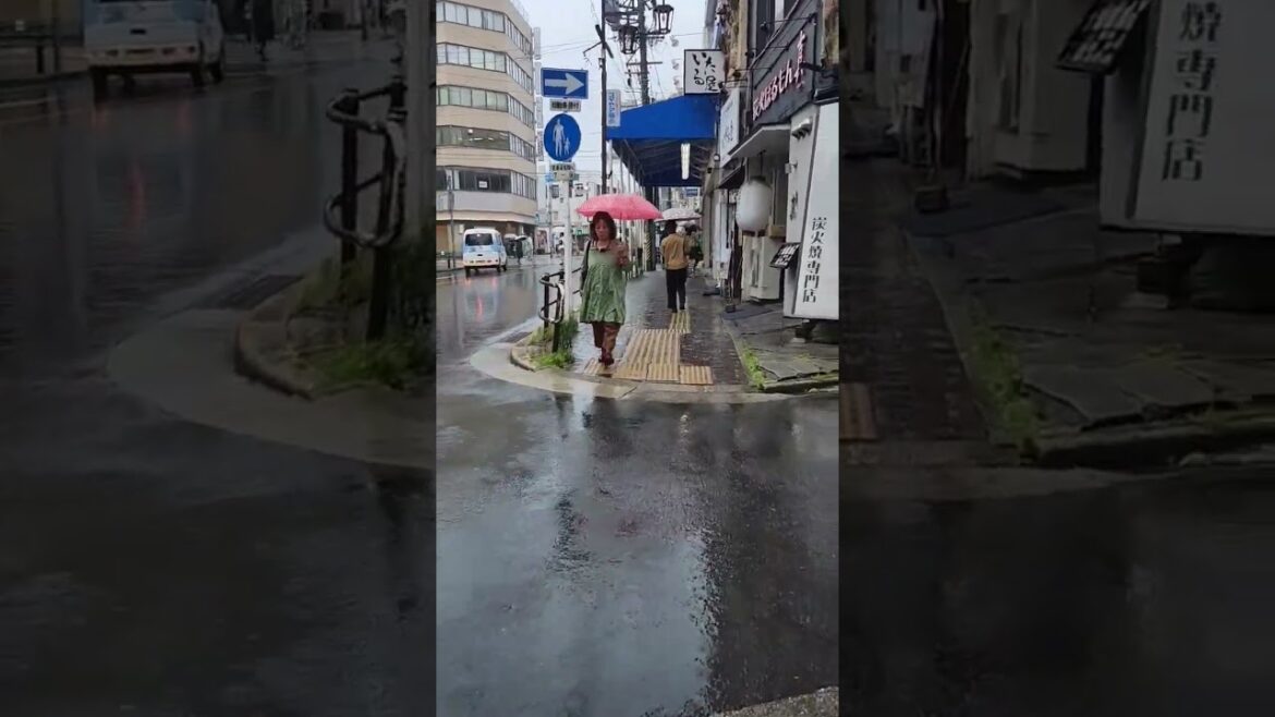 빗소리 #나고야여행 #유학생 #nagoya #유학 #travel #나고야 #일본어학교