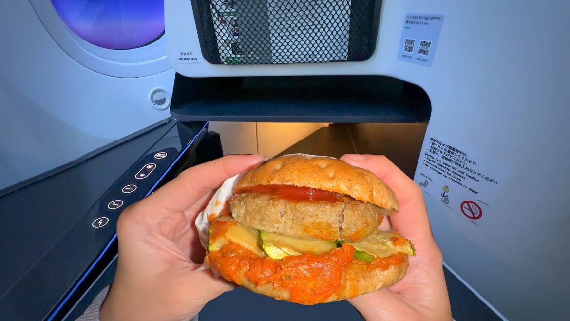 Eating on a Japanese Budget Airline with the Most Amazing Seats Eating on a Japanese Budget Airline with the Most Amazing Seats