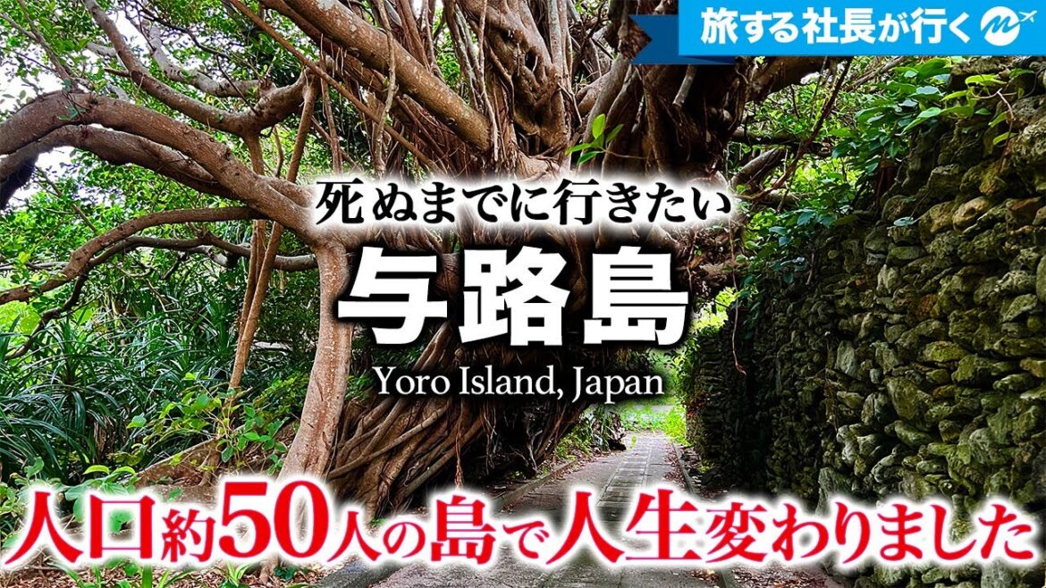 【保存版】与路島43歳ひとり旅。奄美大島最南端の有人島が最高すぎた！まさにタイムスリップの世界【鹿児島・奄美群島・離島・旅行・観光】