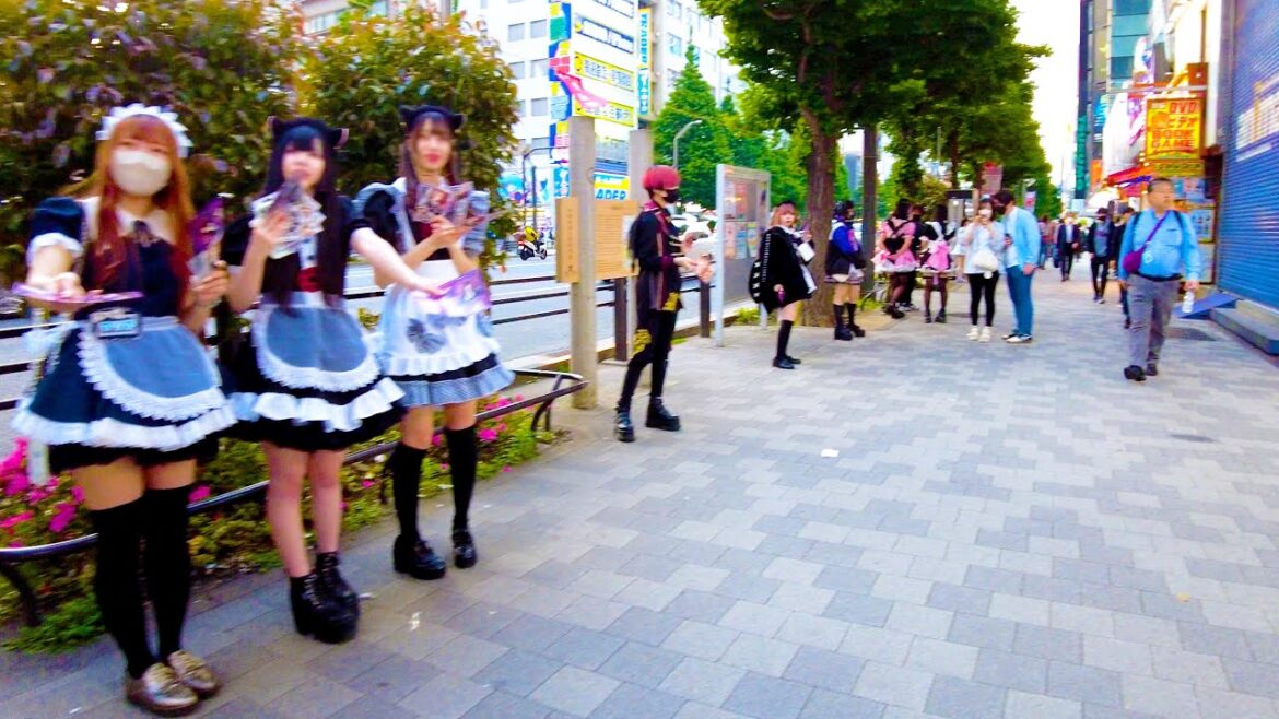 Akihabara in Tokyo 🐶🍻Anime Maid, Animate Town♪💖4K ASMR non-stop 1 hour 05 minutes Akihabara in Tokyo 🐶🍻Anime Maid, Animate Town♪💖4K ASMR non-stop 1 hour 05 minutes