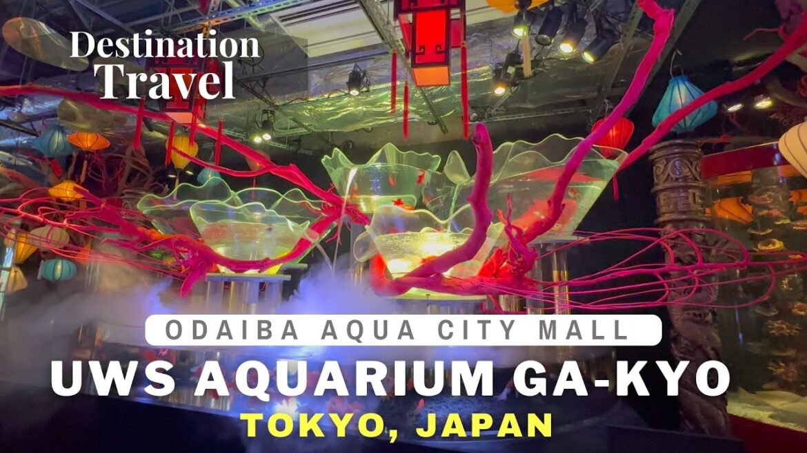 Must Visit Japanese Modern Art Aquarium | Odaiba, Tokyo | Japan Luxury Travel