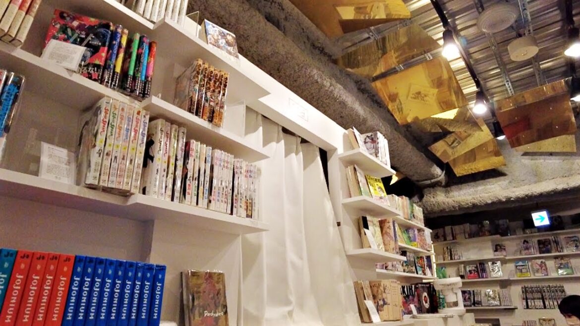 Is this a Hotel or a Manga Shop? Manga Hotel in Japan Is this a Hotel or a Manga Shop? Manga Hotel in Japan