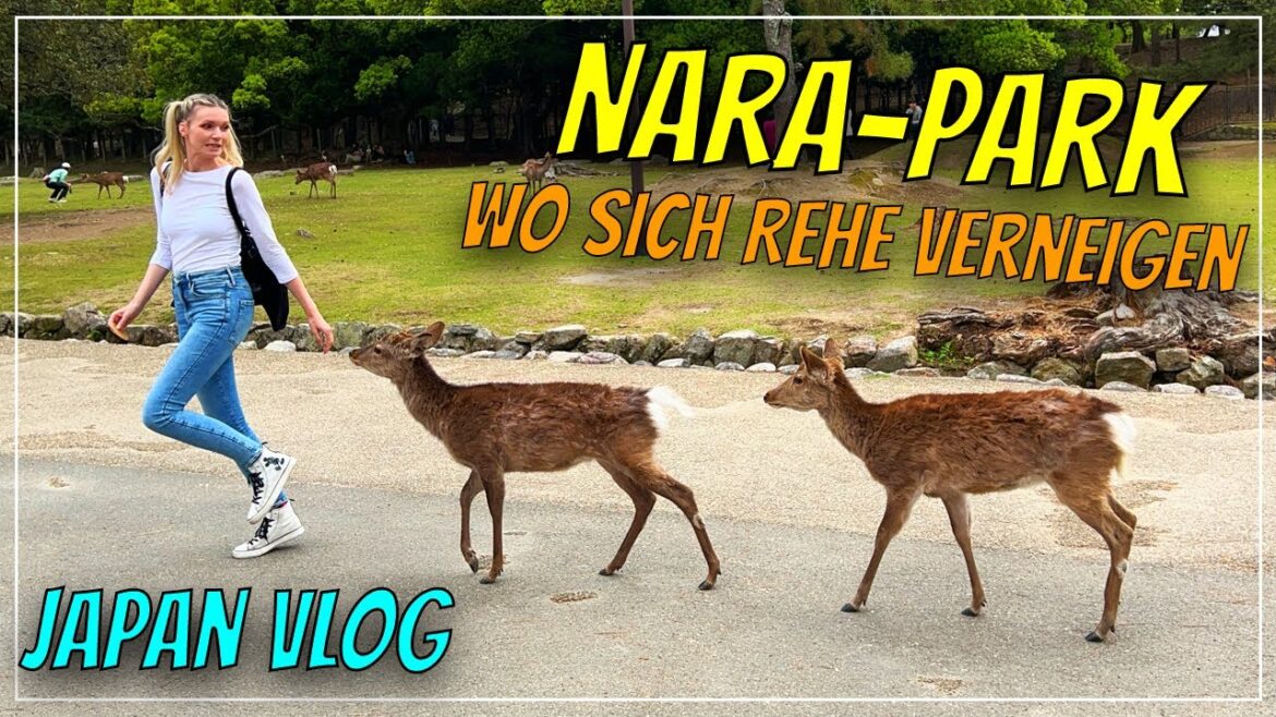JAPAN Vlog – Nara-Park JAPAN Vlog - Nara-Park