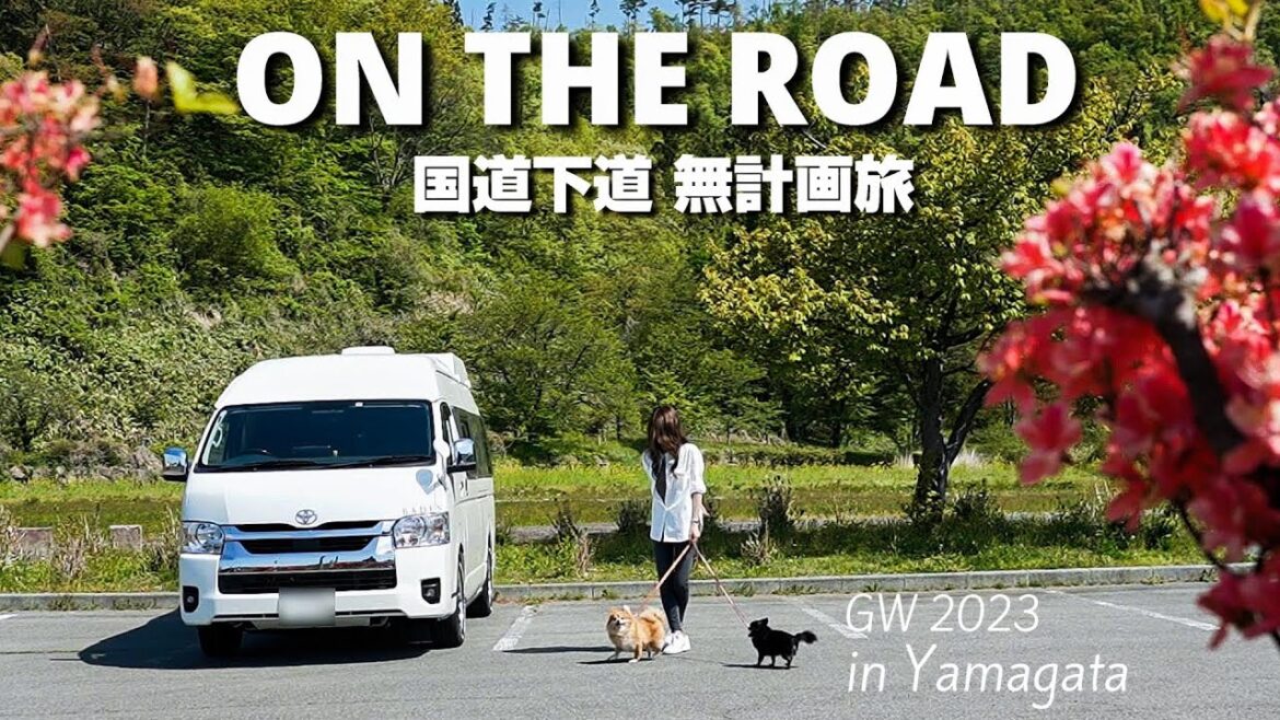 【車中泊の旅／GW.2023.ep2】国道下道無計画な車中泊！そこは隠れた犬連れの聖地だった｜ハイエース キャンピングカー旅