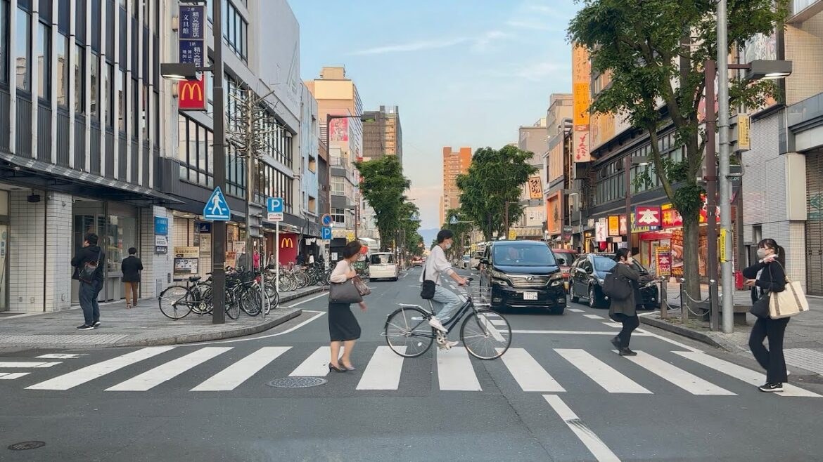 Japan Roads | Driving Tour at Central Toyohashi City Japan Roads | Driving Tour at Central Toyohashi City