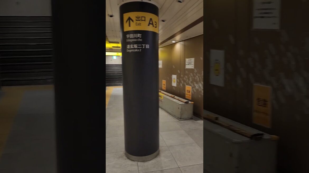 #shibuya #station #shibuya station #shibuya tokyo #viral #shorts #shortvideo #viralvideo #tokyo