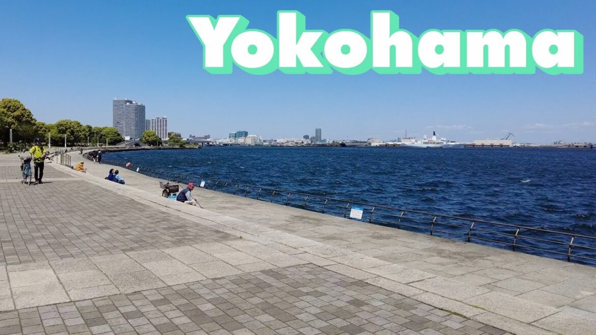 Yokohama🇯🇵 Walking Tour May 2023 | Kanagawa,Japan 横浜散歩 みなとみらい