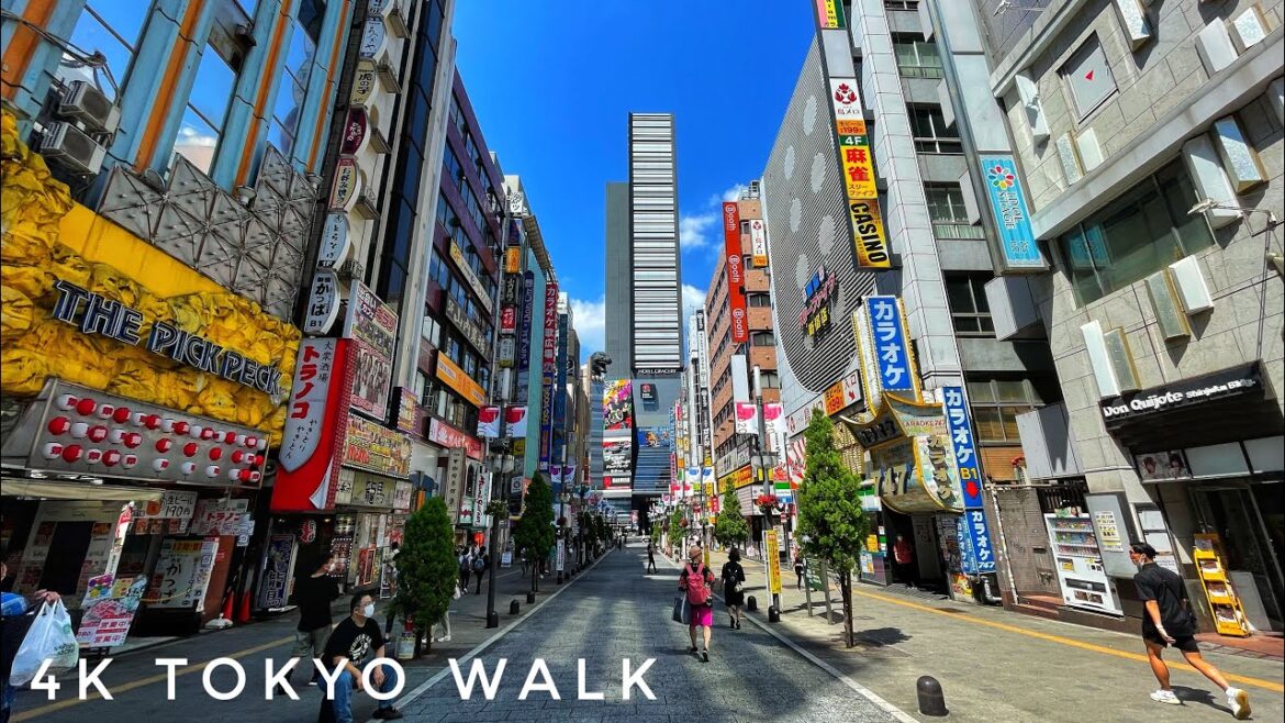 Tokyo, Shinjuku & Kabukicho "Red Light District" Summer Walk - 4K
