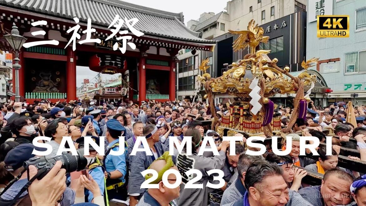 [4K] Sanja Matsuri Festival 2023 Asakusa Tokyo 🐧 三社祭 2023 浅草 東京