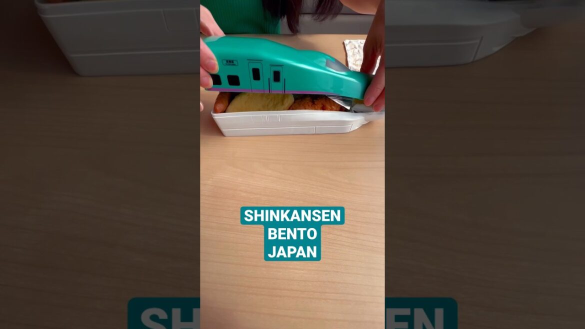 JAPAN SHINKANSEN BENTO はやぶさ新幹線弁当🍱 #日本 #shorts #food #日本料理 #bullettrain