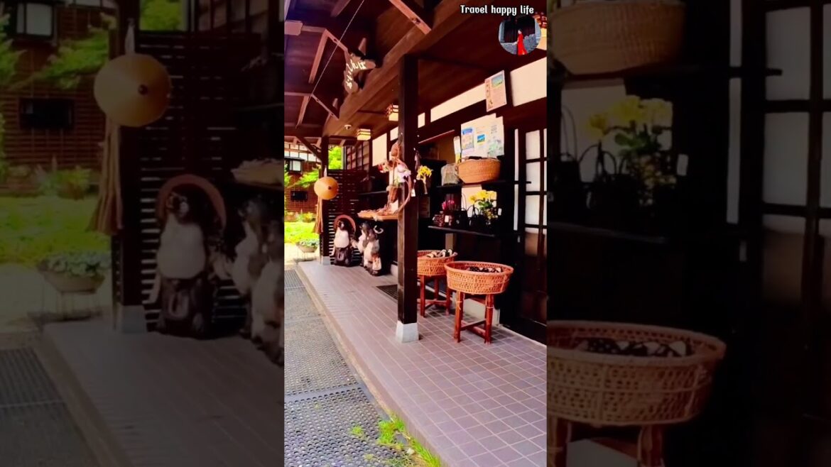 [ Japan ] Shirakawa-go the most beautiful village in Japan.#shortsvideo#traveljapan#travelvlog