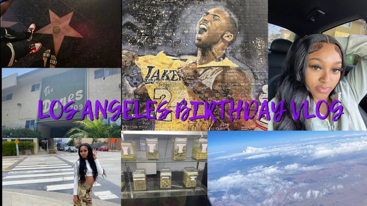 LA Vlog | walk of fame | venice beach | kobe bryant mural | dispensary LA Vlog | walk of fame | venice beach | kobe bryant mural | dispensary