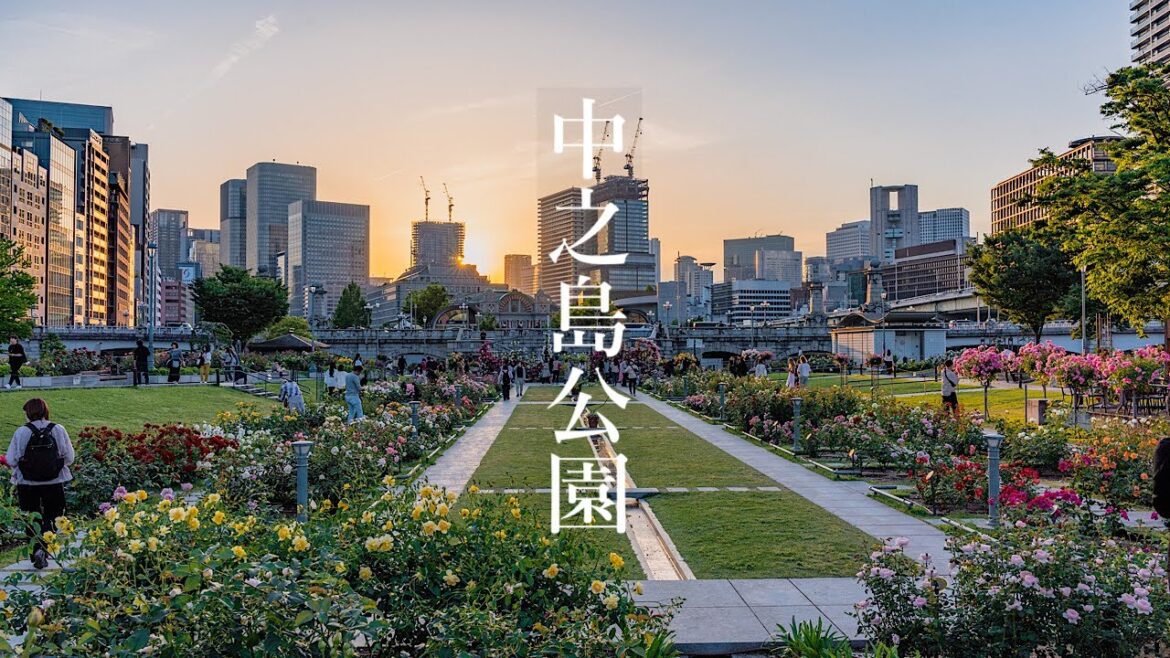 中之島バラ園 2023 Osaka Walk – Nakanoshima Rose Garden 4K HDR Japan 中之島バラ園 2023 Osaka Walk - Nakanoshima Rose Garden 4K HDR Japan