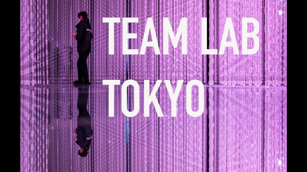 TEAM LAB PLANETS TOKYO