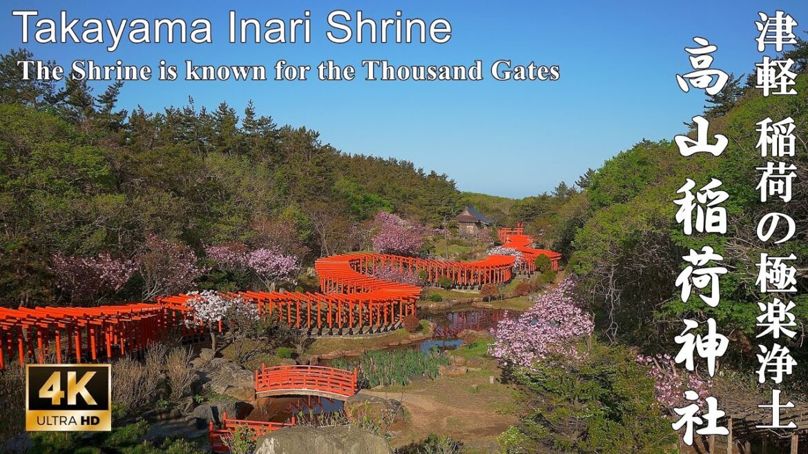 本州最北端に鎮座する稲荷の極楽浄土:青森県・高山稲荷神社 (Takayama Inari Shrine | The Shrine is known for the Thousand Gates) 本州最北端に鎮座する稲荷の極楽浄土:青森県・高山稲荷神社 (Takayama Inari Shrine | The Shrine is known for the Thousand Gates)