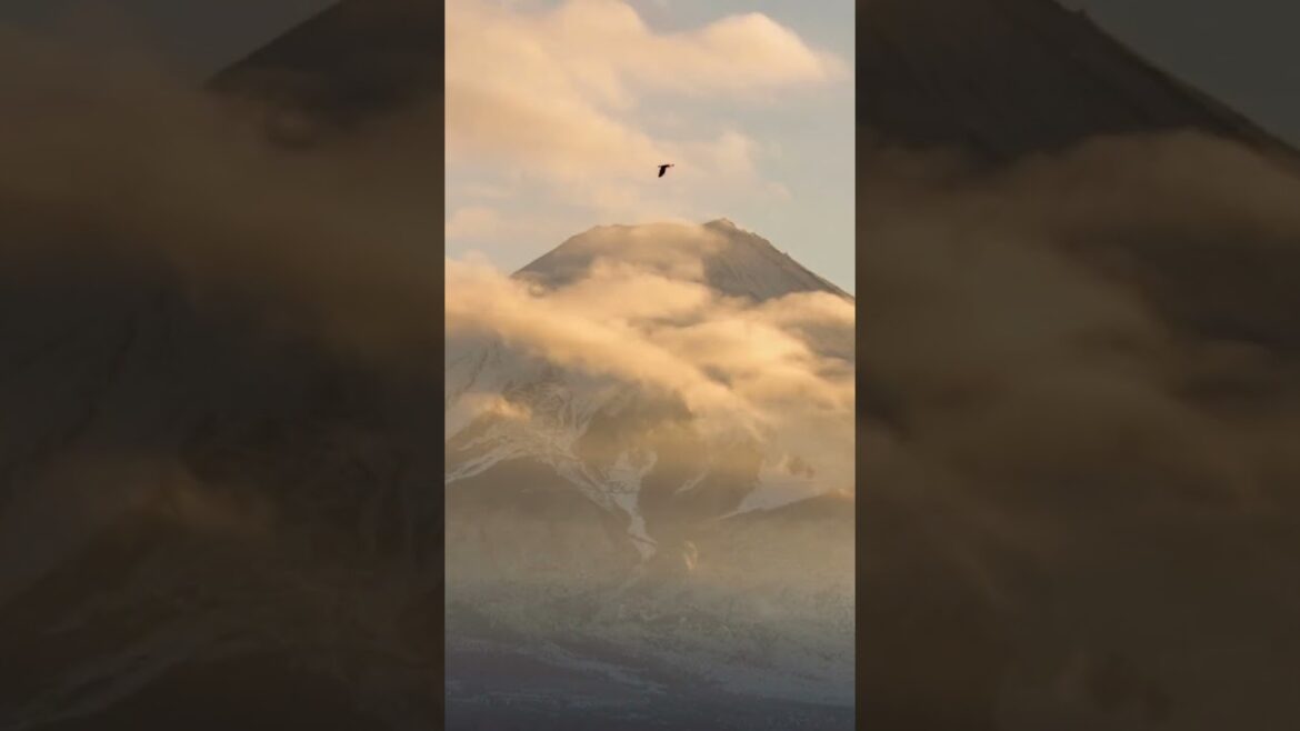 Mount Fuji, Japan #shortvideo #shorts #travel Mount Fuji, Japan #shortvideo #shorts #travel