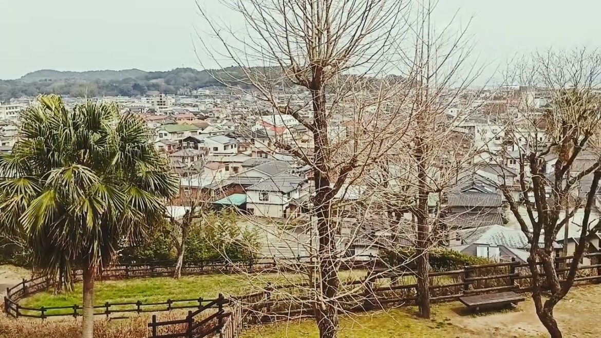 AMAKUSA, Japan, Kumamoto Stunning scenery, ASMR 😍☀🌴🌿