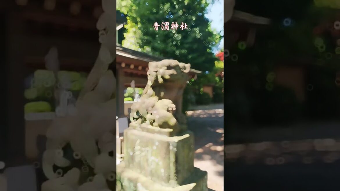 A day trip from Tokyo " Aoi shrine" Japan