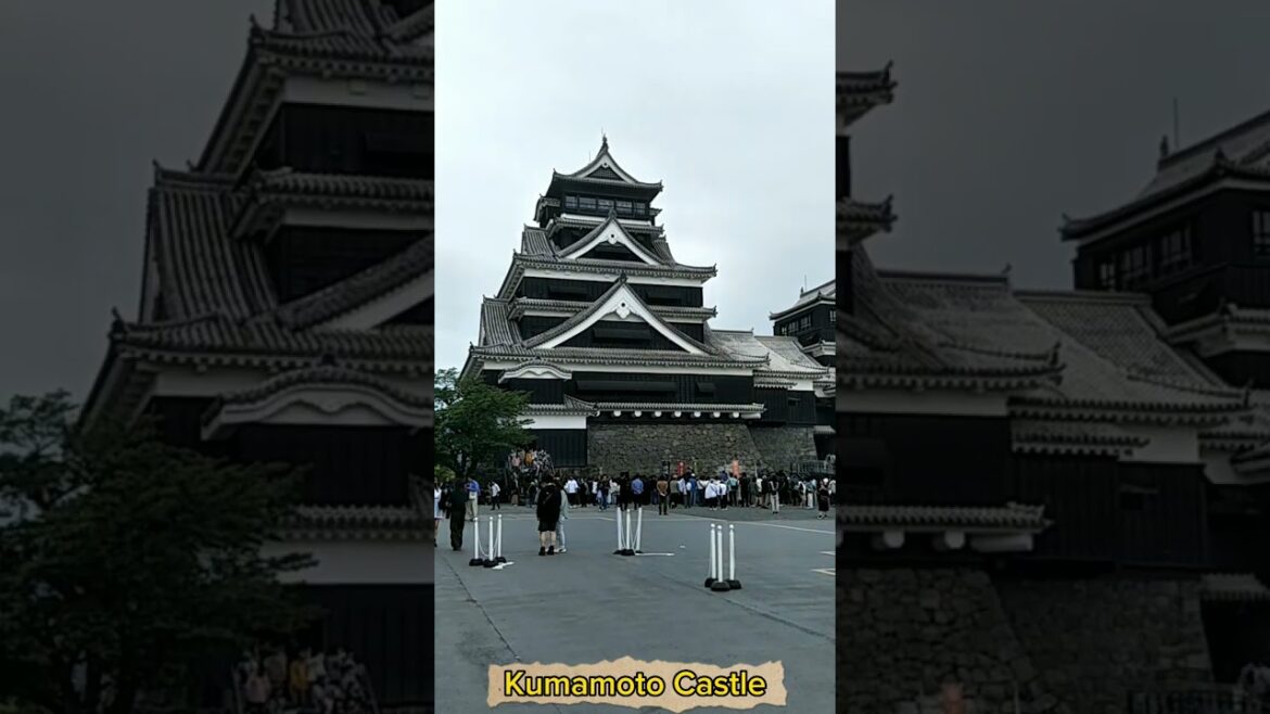 Kumamoto Castle Sightseeing May 04, 2023
