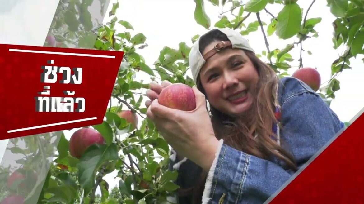 Say hi 169 Minakami2