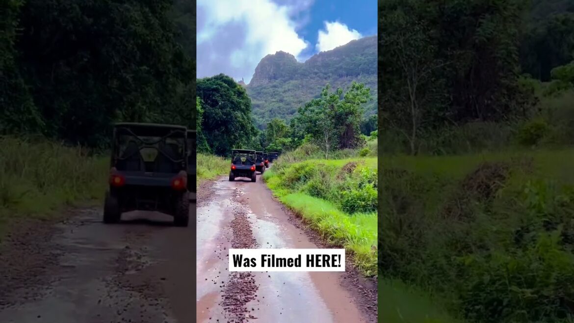 Jurassic UTV Adventures! #youtubeshorts #hawaii #kauai #adventure #travel #vacation #jurassicworld Jurassic UTV Adventures! #youtubeshorts #hawaii #kauai #adventure #travel #vacation #jurassicworld