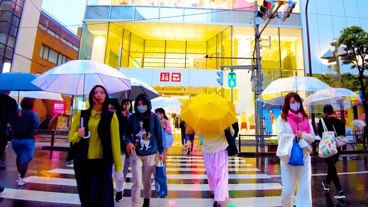 Kichijoji in Tokyo🐶🍻Evening rain♪💖4K ASMR non-stop 1 hour 02 minutes