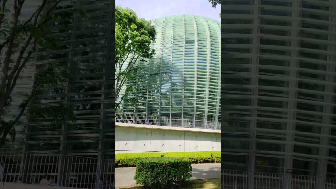 Exploring the Treasures of Japanese Art: A Virtual Tour of Tokyo’s National Art Museums #shorts Exploring the Treasures of Japanese Art: A Virtual Tour of Tokyo's National Art Museums #shorts