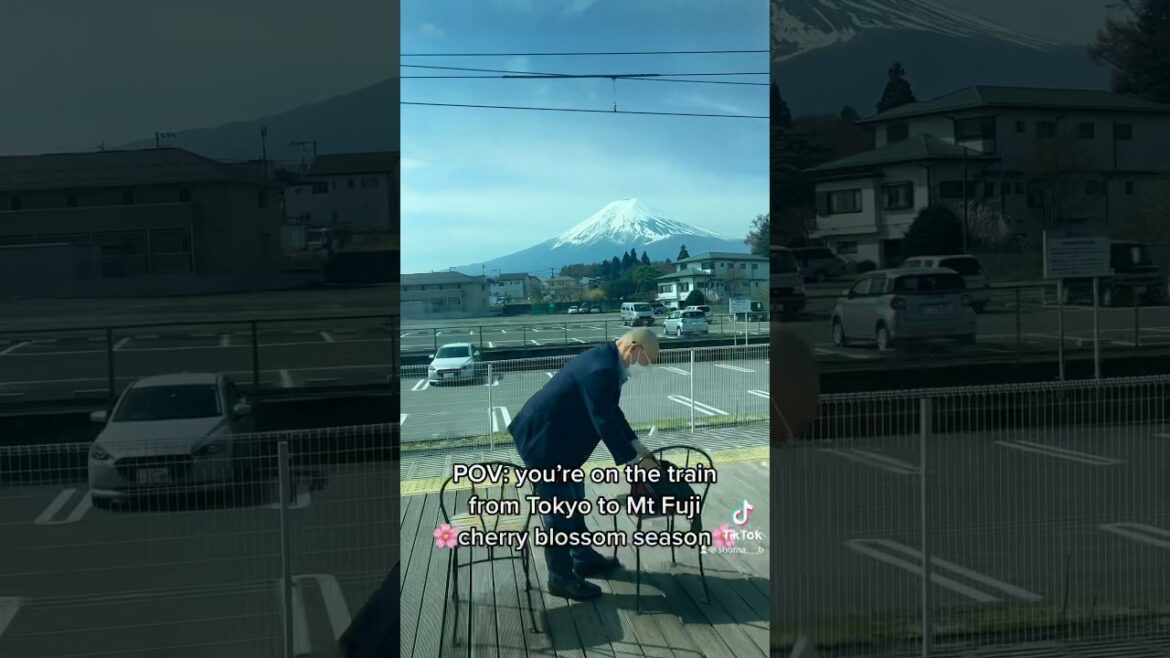 Scenic TRAIN ride: Tokyo’s Skyscrapers to Mt Fuji’s Serenity (Fuji Excursion)