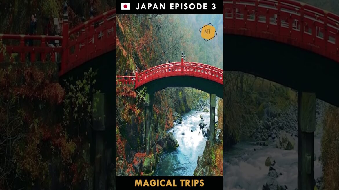 JAPAN Episode 3 Amazing Trip #beautiful #nature #Landscape #scenery #shorts #reels #travel
