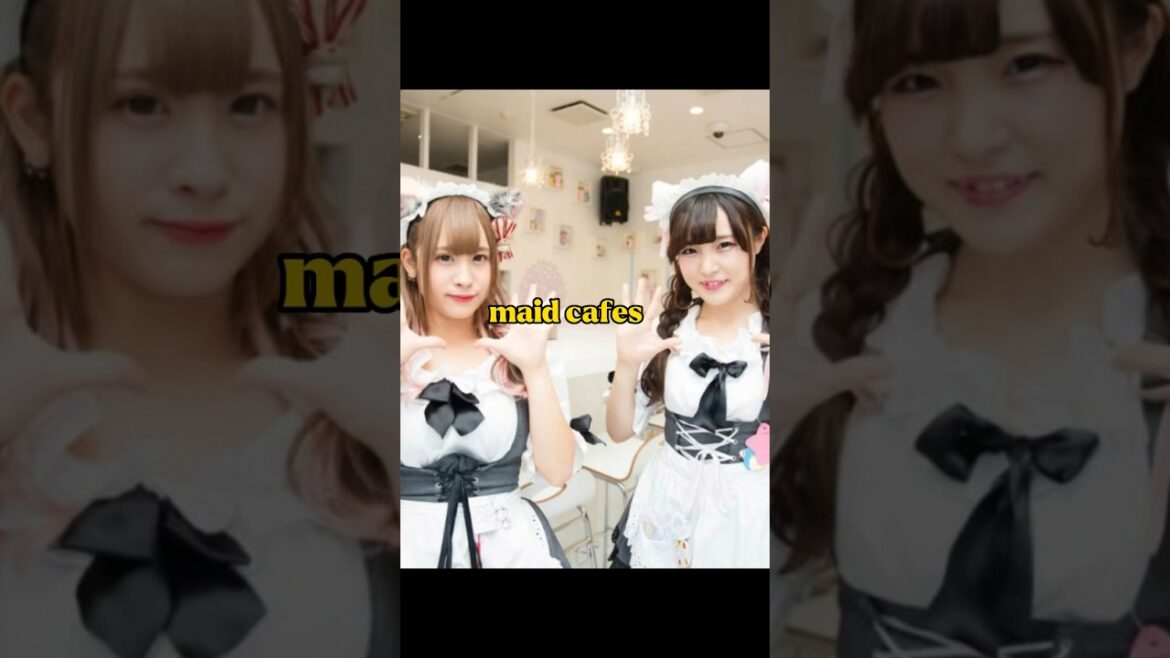 Top 10 crazy thing experience in Japan Must visit #travel #japantravel #travelvlog #shorts