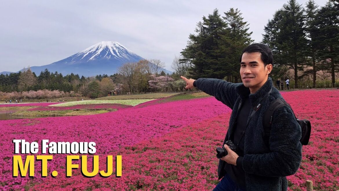 A DAY TRIP TO SEE THE MT. FUJI