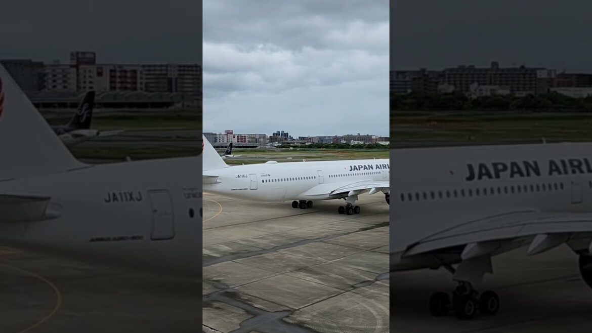 Fukuoka -- Japan Airlines