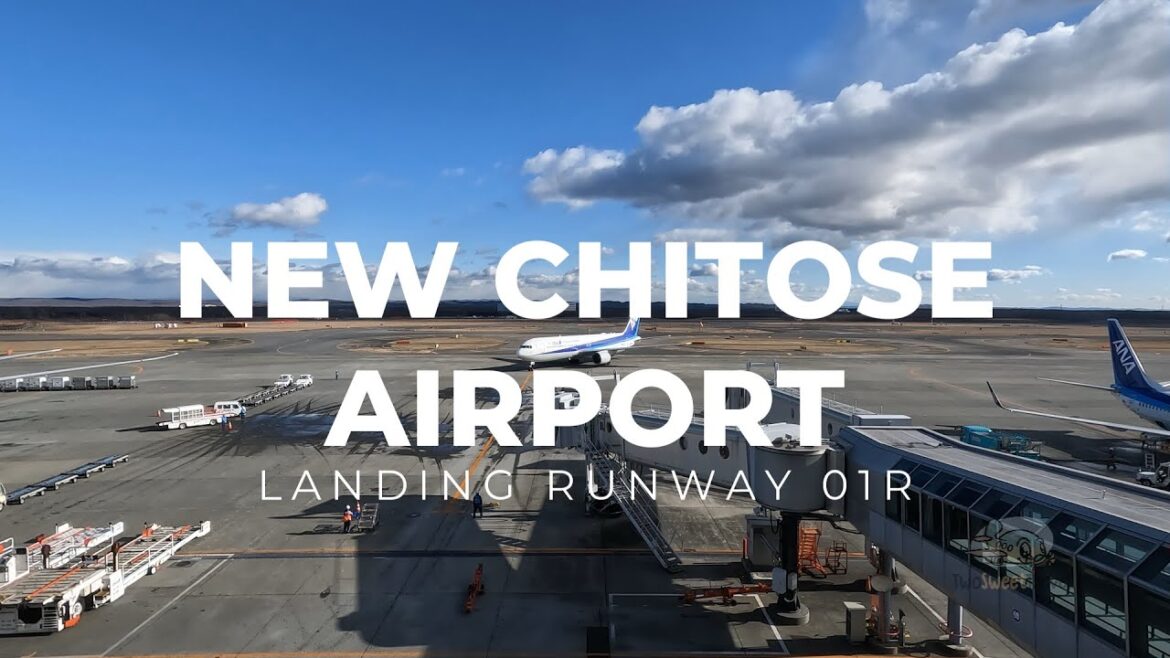 Scoot B787-800 Landing into New Chitose Airport Runway 01R 新千歳空港