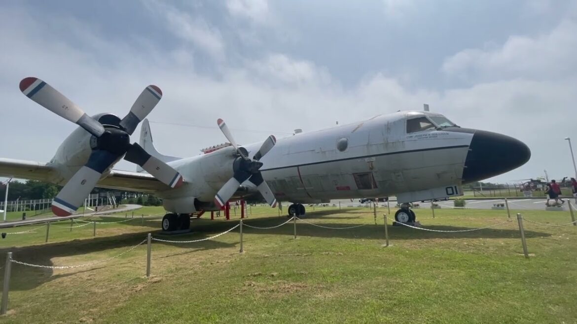 Misawa Aviation Museum, Kabushima Shrine, Tanesashikaigan Camp, Yodonomatsubara Yūhodō Trail