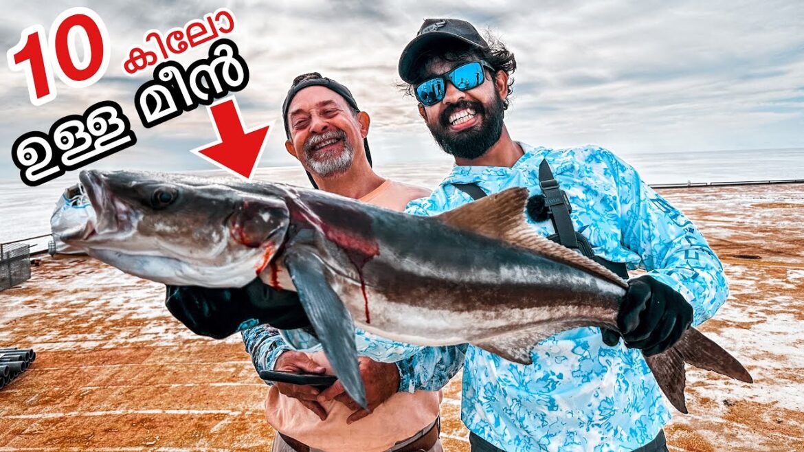 ๐เดเตเดฃเตเดเดฏเดฟเตฝโฆ เดเดฟเดเตเดเดฟเดฏ เดฎเตเดจเดฟเดจเต เดชเดเตเดเดเตเดเต เดคเดฟเดจเตเดจเดพเดฒเต?? | Caught and eat raw Cobia from Frying Pan Tower ๐เดเตเดฃเตเดเดฏเดฟเตฝโฆ เดเดฟเดเตเดเดฟเดฏ เดฎเตเดจเดฟเดจเต เดชเดเตเดเดเตเดเต เดคเดฟเดจเตเดจเดพเดฒเต?? | Caught and eat raw Cobia from Frying Pan Tower