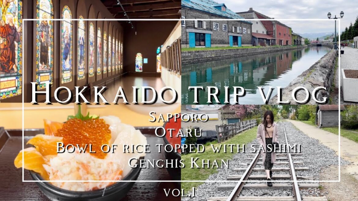 【travel vlog】全てに癒される北海道旅行1日目🥹✈️札幌、小樽運河、西洋美術館、海鮮丼、ジンギスカンetc‥