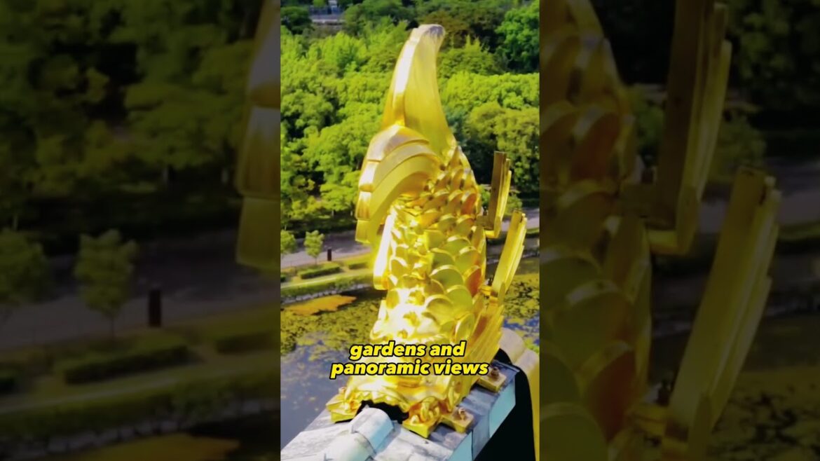 Osaka City Guide: Tips and Recommendations for Travelers