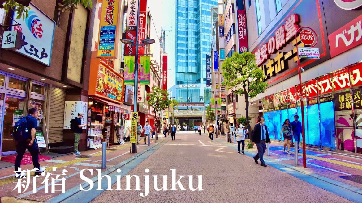 【東京散歩】新宿の街を歩く。Shinjuku walk ASMR【4K】 【東京散歩】新宿の街を歩く。Shinjuku walk ASMR【4K】