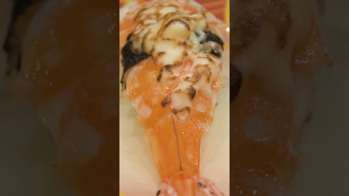 More conveyor belt Sushi in Tokyo, Osaka & Kyoto | Amazing Japan Travel Adventure Documentary More conveyor belt Sushi in Tokyo, Osaka & Kyoto | Amazing Japan Travel Adventure Documentary