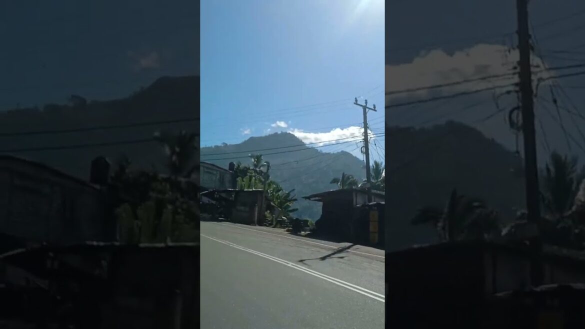 #shorts 😍🔥Mountain bike tour through beautiful tea plantations 💕🔥🌍 #youtubeshorts #short #shorts 😍🔥Mountain bike tour through beautiful tea plantations 💕🔥🌍 #youtubeshorts #short