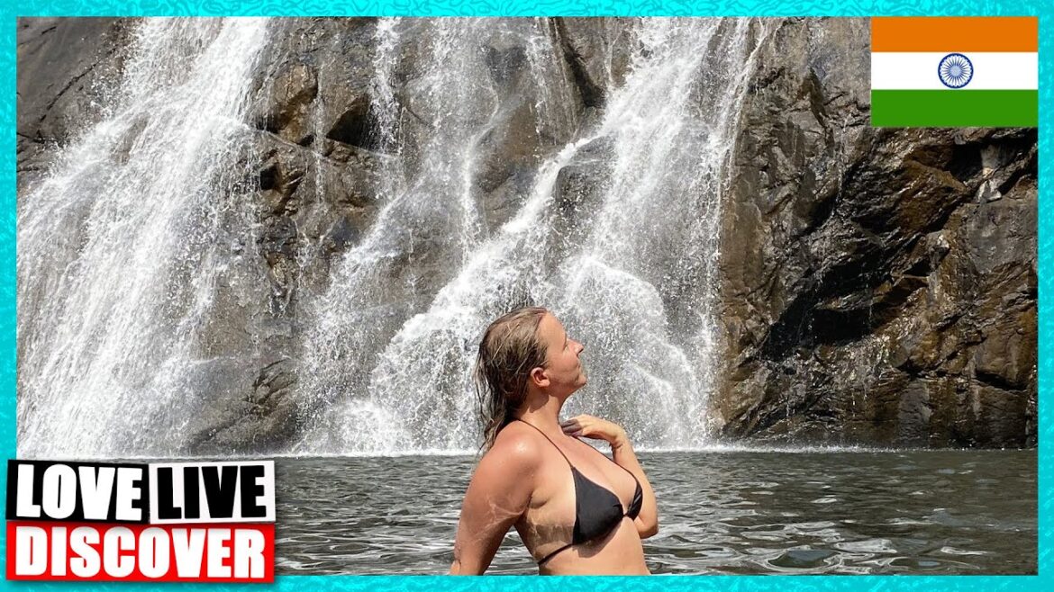 Dudhsagar Waterfall: A Breathtaking Adventure in Goa, Foreigners in India Ep.19 Dudhsagar Waterfall: A Breathtaking Adventure in Goa, Foreigners in India Ep.19