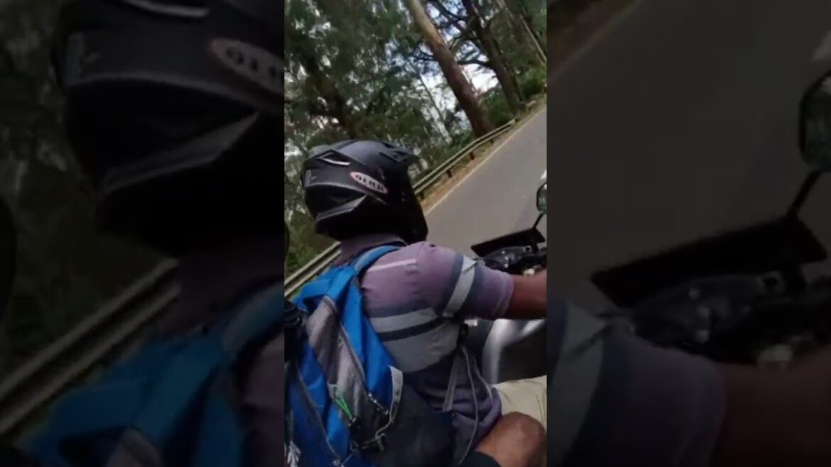 #shorts 😍🔥Mountain bike tour through beautiful tea plantations 💕🔥🌍 #youtubeshorts #short