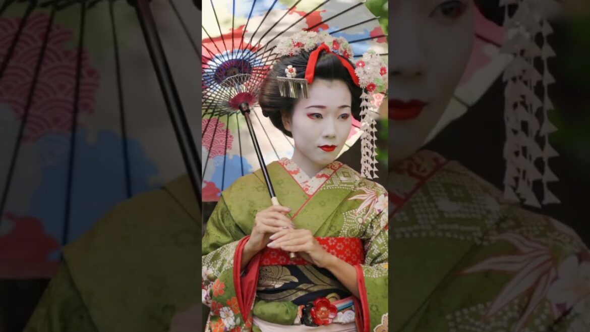 Japan Geisha #shorts #shortvideo #travel Japan Geisha #shorts #shortvideo #travel