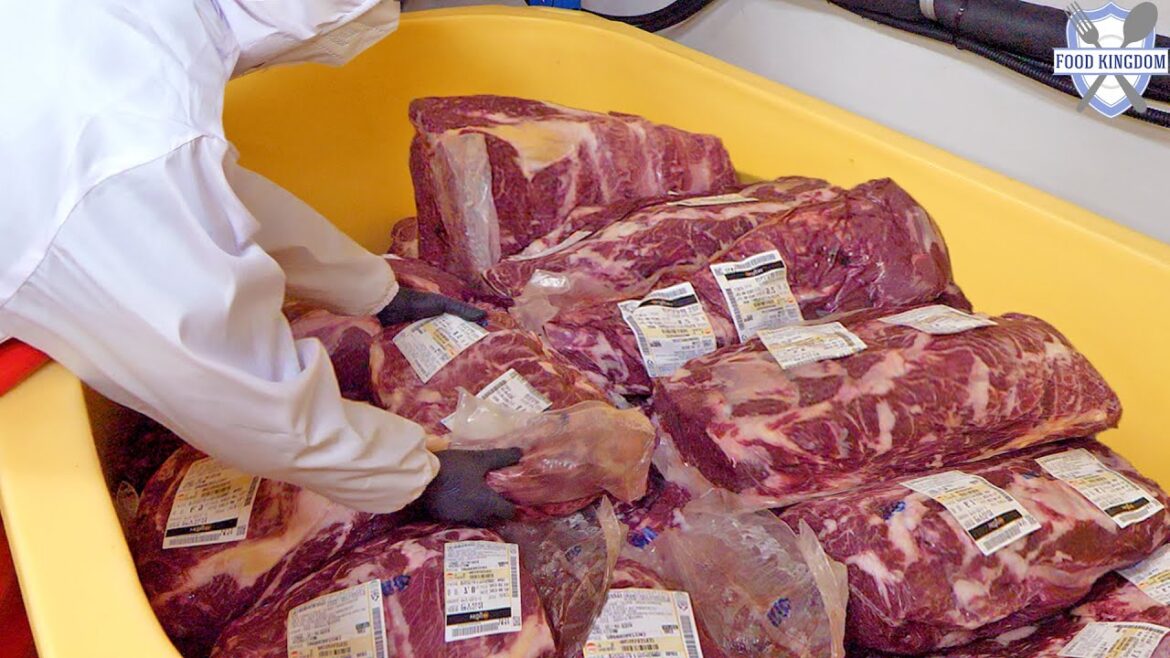 서울 강남에서 이 가격에 한우를? 신박한 빙온숙성하는 가성비 고기집 국민한우 (댓글이벤트11탄) / korean restaurant food 서울 강남에서 이 가격에 한우를? 신박한 빙온숙성하는 가성비 고기집 국민한우 (댓글이벤트11탄) / korean restaurant food