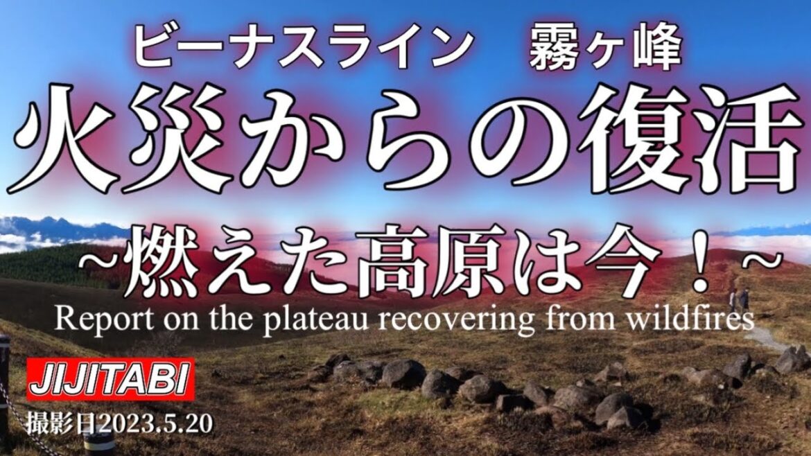 ビーナスライン霧ヶ峰車山火災から復活!燃えた高原は今!撮影日2023.5.20 Recovery from Kirigamine Kurumayama Fire in Nagano, Japan ビーナスライン霧ヶ峰車山火災から復活!燃えた高原は今!撮影日2023.5.20 Recovery from Kirigamine Kurumayama Fire in Nagano, Japan