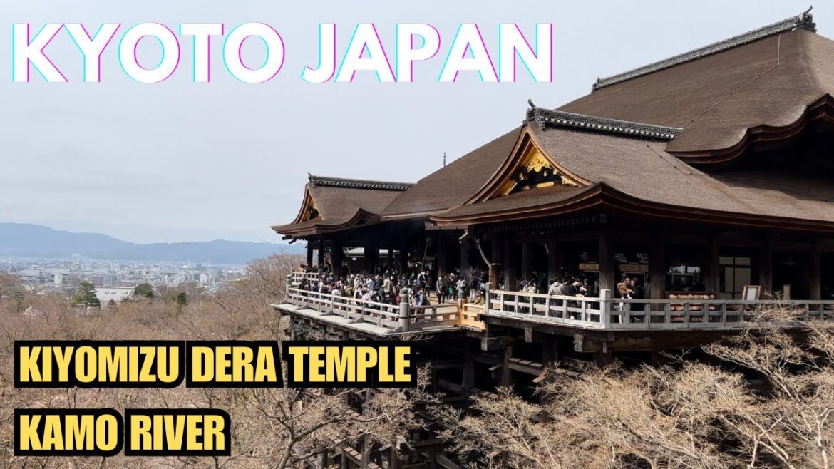 CHILLING in KYOTO JAPAN | Getting to KIYOMIZU DERA TEMPLE & KOMA RIVER 音羽山 清水寺 鴨川 京都