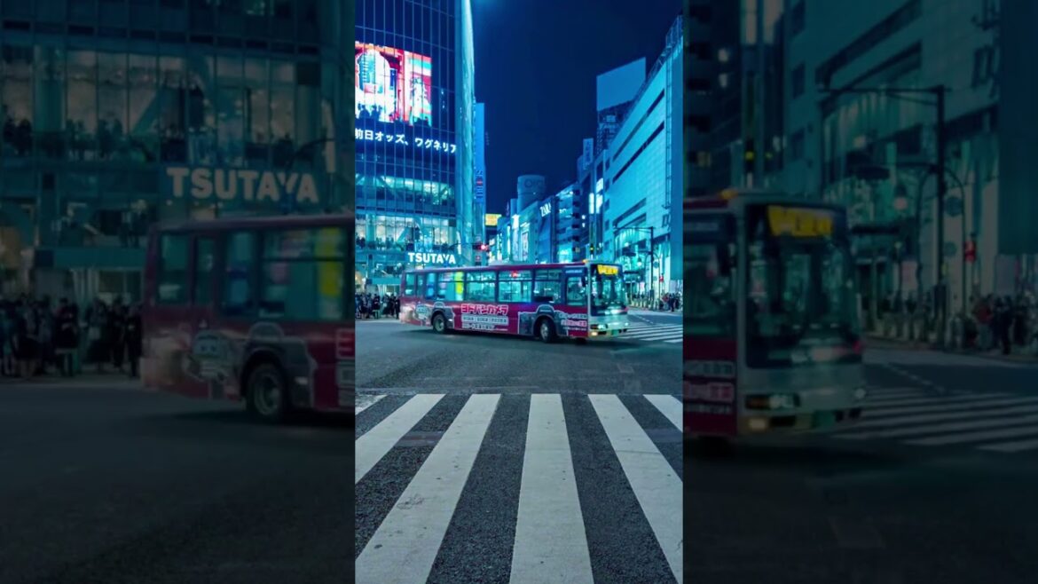 Tokyo #shorts Tokyo #shorts